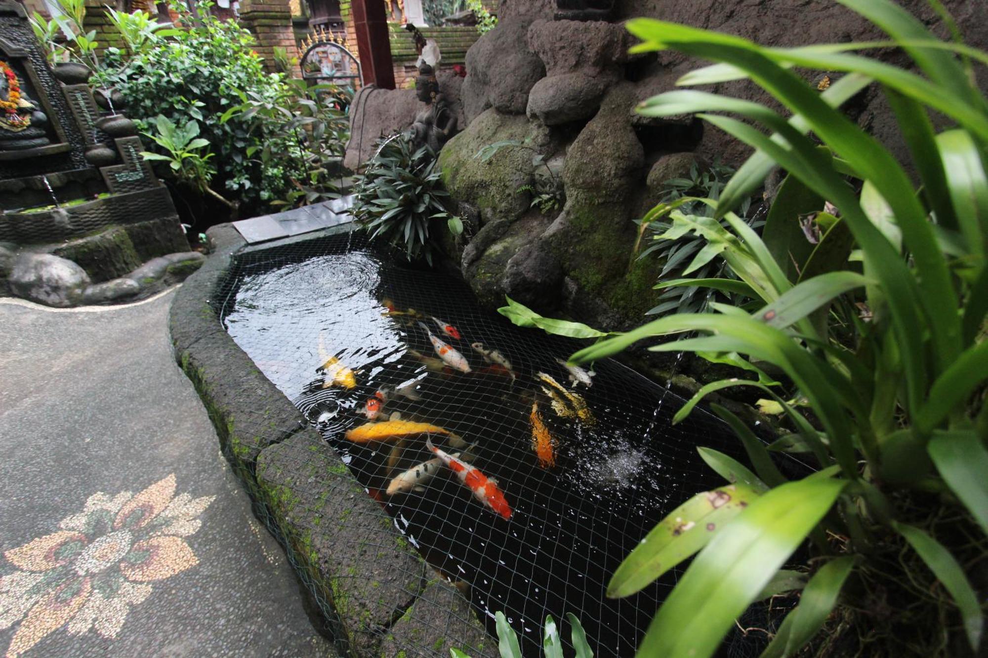 Guest house Serayu *